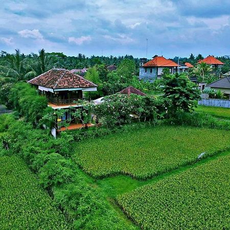 White Villa Ubud Exterior foto