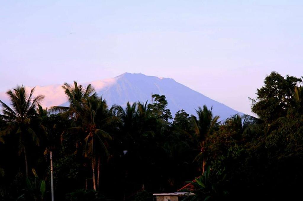 White Villa Ubud Exterior foto