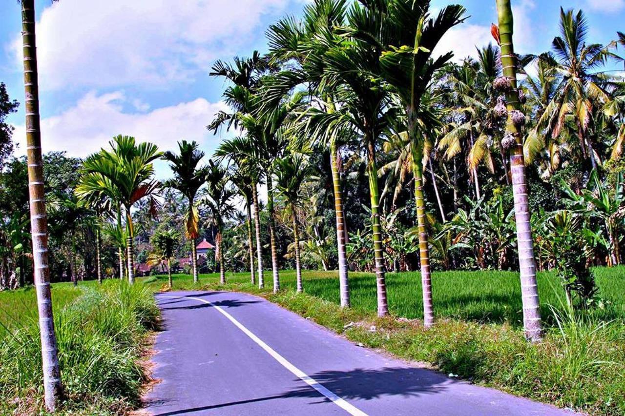 White Villa Ubud Exterior foto