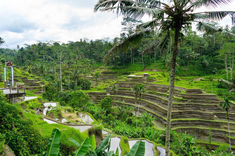 White Villa Ubud Exterior foto